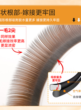 超软单根婴儿弯睫毛嫁接焦糖棕色