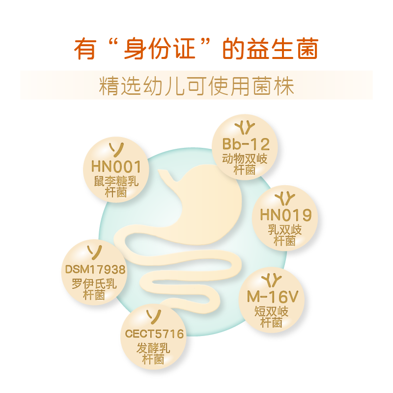 婴幼儿益生菌肠道菌群调节剂消化酶宝宝150亿活菌冻干粉 - 图1