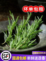 Fresh rosemary steak with edible spices Western food ingredients Seasoned Baking Cake Decoration Pendulum Pan Lost
