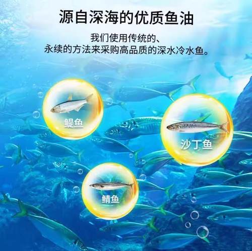 Carlson深海野生鱼油全阶段高含量omega3心脑眼血管 - 图3