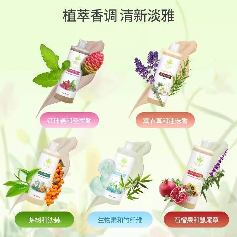 Mild By Nature控油防掉沙发控油洗发水天然植物香