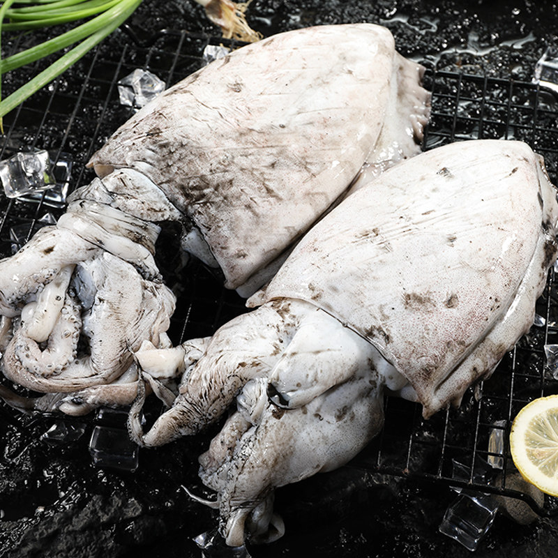 新鲜墨鱼鲜活大墨鱼舟山海捕特大乌贼鲜活冷冻大目鱼海鲜非墨鱼仔,淘宝优惠券,粉丝福利购,淘宝优惠卷