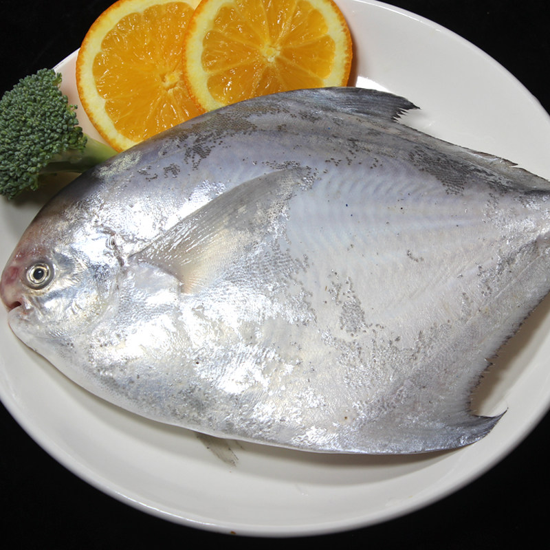 特大银鲳鱼新鲜冷冻舟山白鲳鱼鲜活海鲜水产海捕大昌鱼平鱼鲳鳊鱼,淘宝优惠券,粉丝福利购,淘宝优惠卷