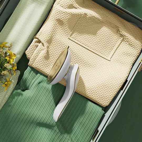 Der elektrisch bügelnde Mini-Dampfglätter von Meiyun entfernt Milben