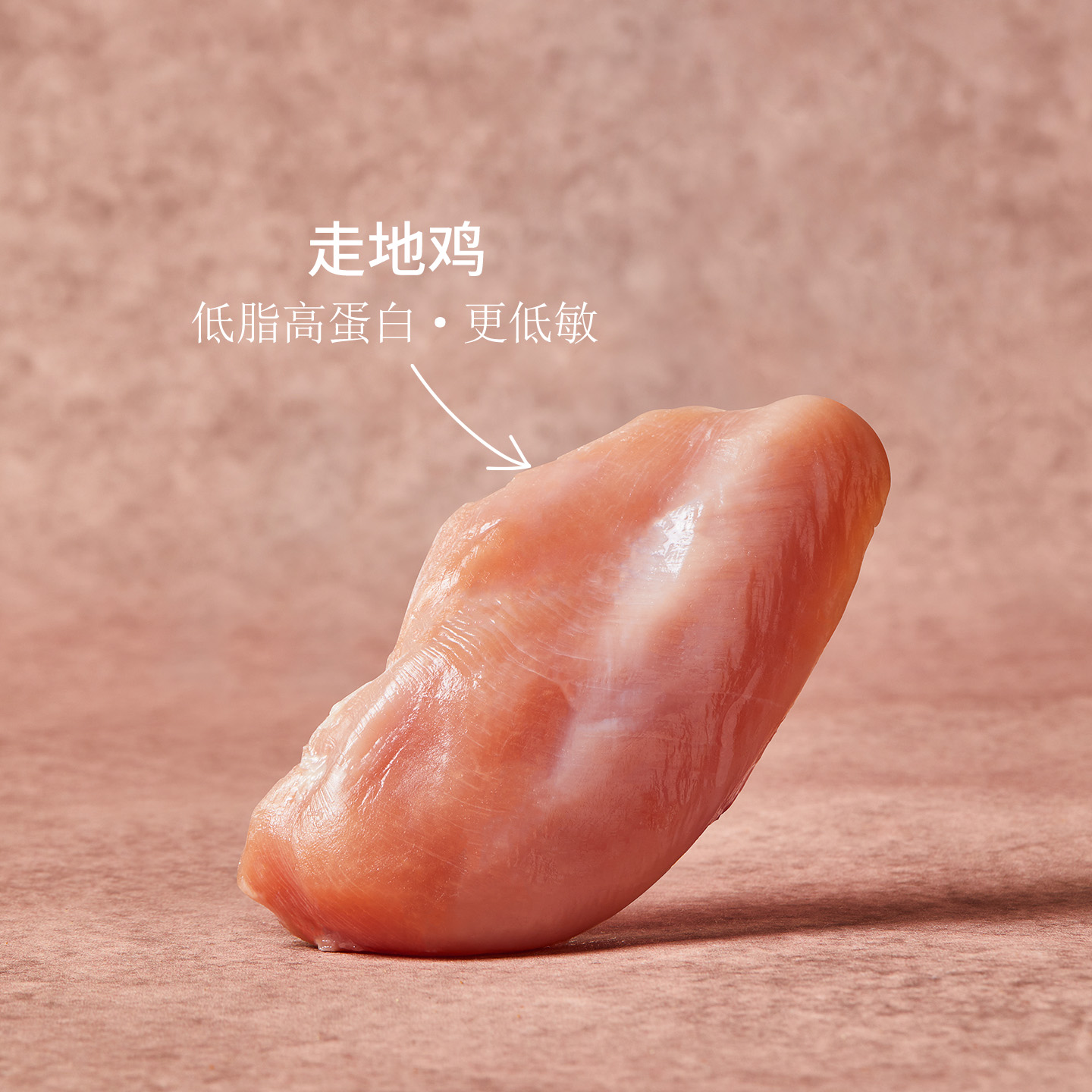 【肠胃支持】福摩FROMM无谷系列鲜鸡肉芝士蔬果10岁老年猫粮4.5KG - 图3