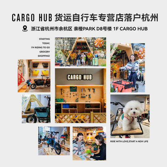 Minicargo pet bike power-assisted bike