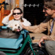 Cargo bike with pets as a stylish carrier