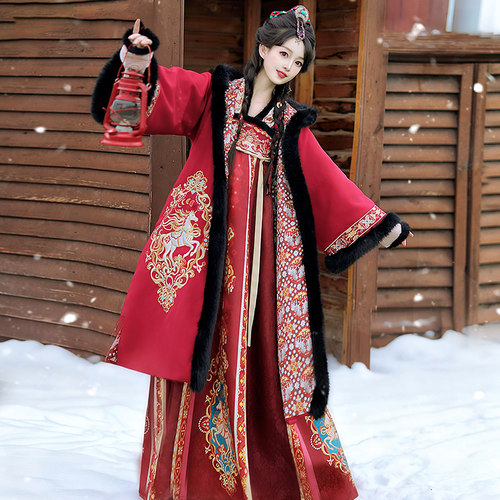 陌南尘_驰岁 原创齐胸襦裙汉服女2025新款秋冬季加厚斗篷唐制古装 - 图3