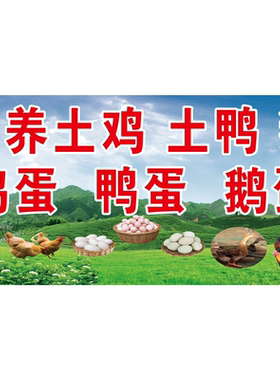 散养走地鸡批零售农家土鸡家禽活鸡广告宣传自粘贴纸海报设计制作