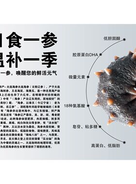 大连即食辽海参图片餐厅装饰墙贴画纸图喷绘海报辽参新鲜海参贴纸