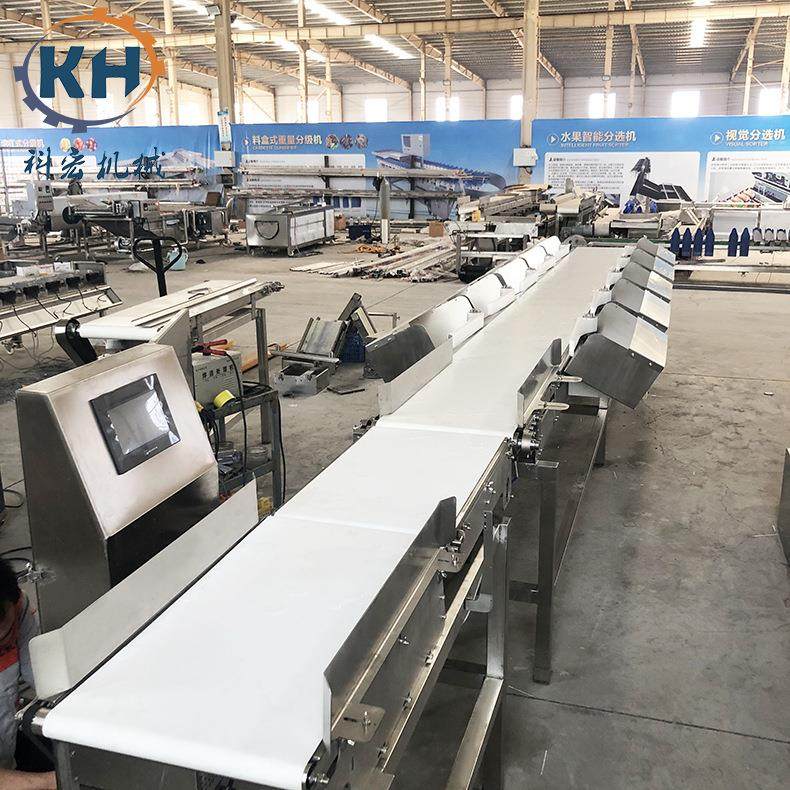 螃蟹鲅鱼自动称重分选机 海鲜龙虾重量分拣机 虾牡蛎称重分级,淘宝优惠券,粉丝福利购,淘宝优惠卷