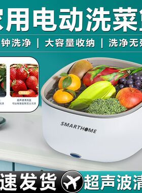 厨房家用震动洗菜篮仿厨房多功能电动净化清洗水果仿超声波沥水篮