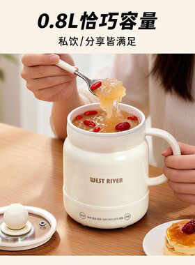 韩国电炖杯恒温保温陶瓷釉内胆煮火锅多功能便携电饭煲学生电煮杯
