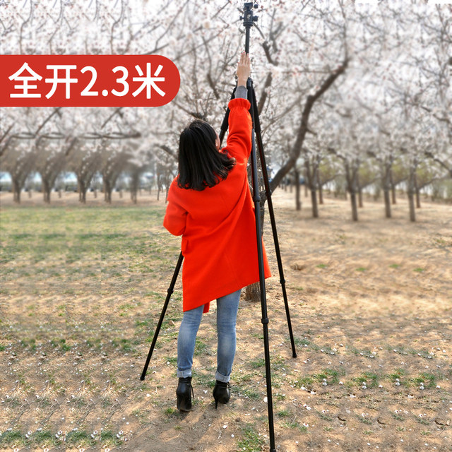 Psyke Ultra-Height Engineering Measurement Bold Tripod