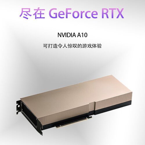 英伟达（NVIDIA） A10 24GB 安培架构 光线追踪显卡 专业运算卡 - 图1