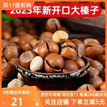 Northeast Teryield Iron Ridge New goods No added original flavor opening thin skin Big hazelnut fresh pregnant woman snacking fried stock nuts