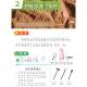 2nd Grade Science Dinosaur Fossil Archaeological Digging Toy