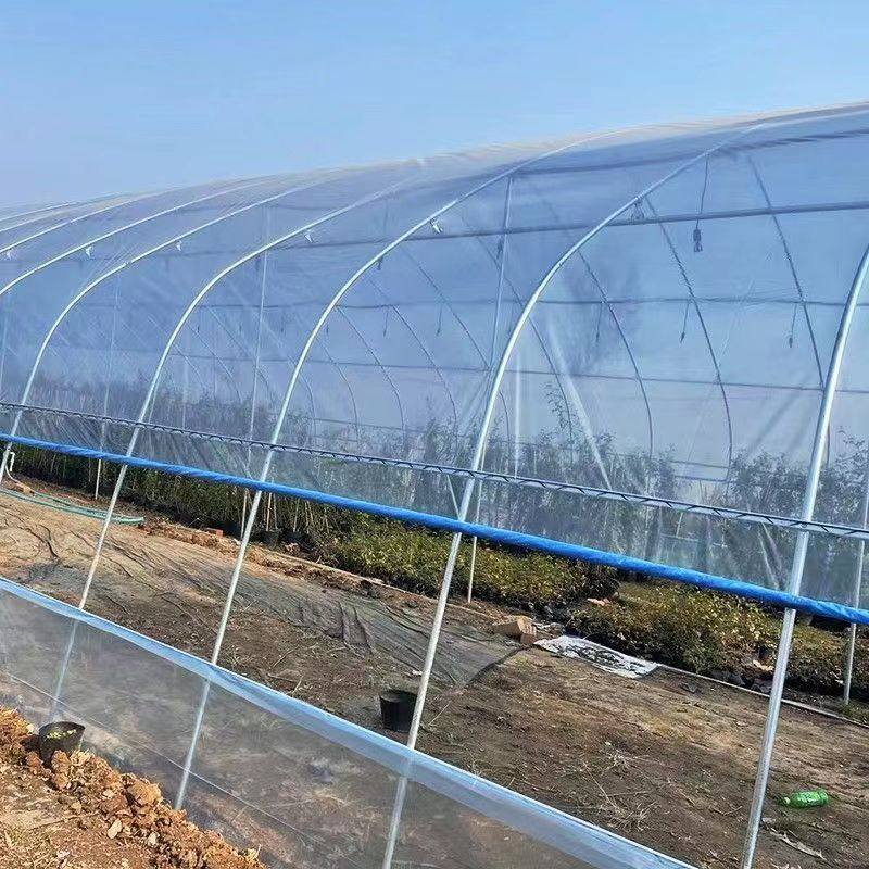 大棚专用塑料膜大棚膜无滴膜透明塑料布加厚防水po膜农用塑料薄膜,淘宝优惠券,粉丝福利购,淘宝优惠卷