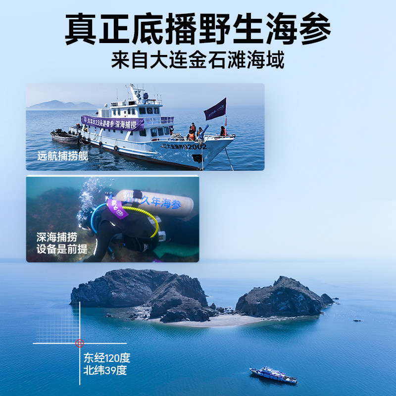  久年滋补养生干品/即食海参