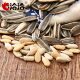 Qiaqia bulk melon seeds independent small packaging