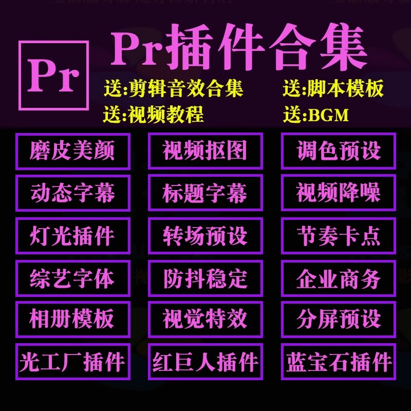 pr全套中文插件一键安装win24/mac23版转场降噪磨皮字幕调色补帧 - 图2