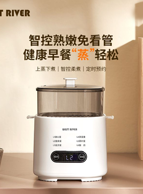 蒸蛋器煮蛋器家用小型自动断电预约定时多功能煮鸡蛋神器2026新款