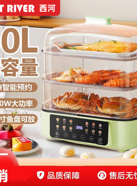 德国智能电蒸锅家用大容量多功能电蒸笼宿舍节能电炖锅厨房电蒸炉