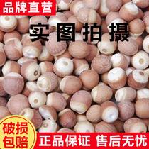 Zhengzong New Cargo Micromountain Lake Farmyard Bulk Gordon Eurygordon Eurygordon Euryale Seed 2 Pieces Wild Health Care