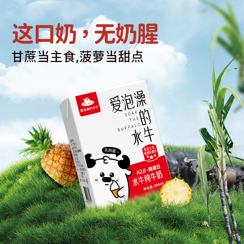 爱泡澡的水牛纯牛奶200ml*10盒*2箱学生儿童孕妇营养牛奶早餐奶
