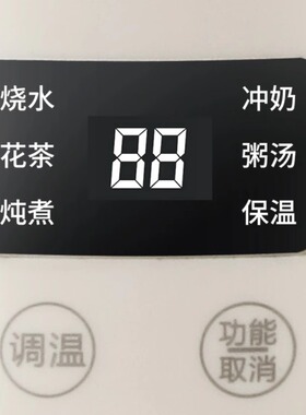 德国进口车载便携小型迷你烧水壶