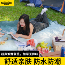 Adventure Imperii Picnic Mat Anti-Tide Mats Thickened Outdoor Waterproof Beach Mat Spring Tour Mat Portable Folding Camping Equipment