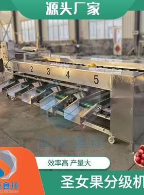 果蔬水果分选机不伤果农产品橙子沃柑分拣选果机柑橘芒果分级机