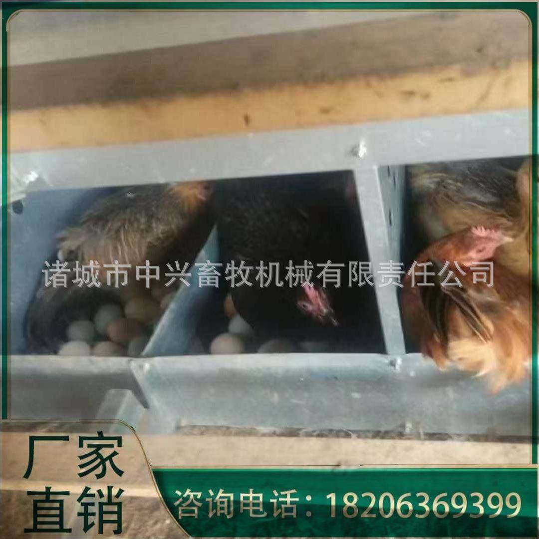 12穴散养鸡产蛋箱鸡蛋干净卫生种鸡场蛋箱不生锈可外挂鸡窝,淘宝优惠券,粉丝福利购,淘宝优惠卷
