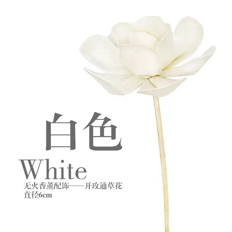 无火香薰花枝仿真花束欧式家用干花通草花 扩香藤条摆设ins - 图3