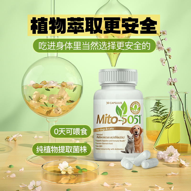 MITO5051咪妥猫咪益生菌狗狗调理肠胃宝宠物专用幼猫便秘拉稀呕吐 - 图3