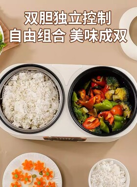 德国双胆电饭煲全自动多功能一体电饭锅鸳鸯火锅蒸煮智能预约保温