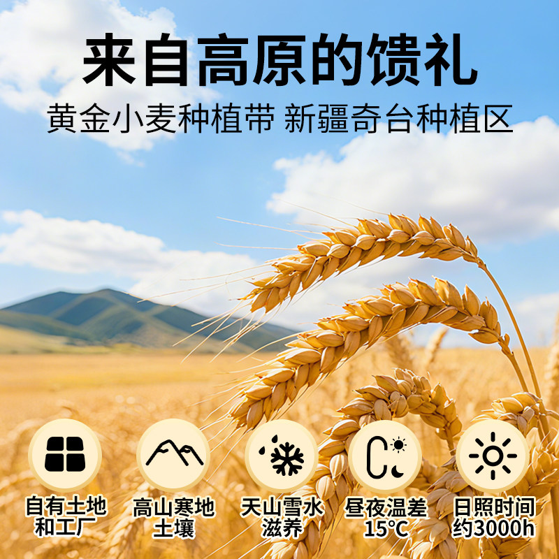 腰小荞新疆奇台雪花粉小麦粉500g小包装饺子包子面条家庭通用面粉