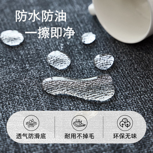 简约风入户门地垫高级客厅卧室地毯门垫进门口玄关脚垫耐脏免洗 - 图3