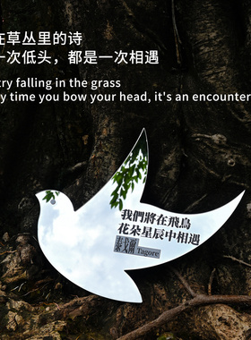 1200异中人亚克力装饰镜倒影板装饰摆件创意文艺物毕业季生日礼物
