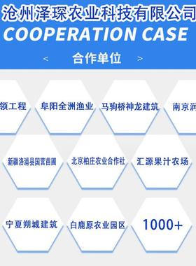 日光温室暖棚农业种植草莓蔬菜大棚养殖大棚蔬菜棚养殖棚