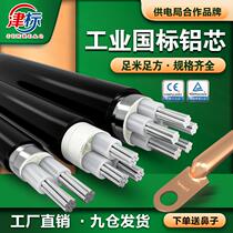 National Label Aluminium Core Cable 2 3 4 5 10 10 16 25 35 35 anti-aging outdoor special aluminium wire wire