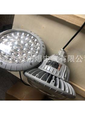 DC9210防震型投光灯.LED防爆灯