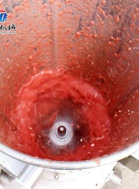 全自动果蔬原汁机直销各类果蔬打浆打汁果蔬