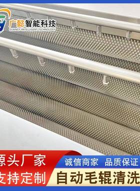 海产品海虹毛辊清洗机柑橘清洗抛光打蜡机扇贝平行毛辊清洗机
