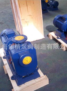 上海创精ZX自吸泵 自吸离心泵 自吸化工泵不锈钢海水自吸泵流程泵