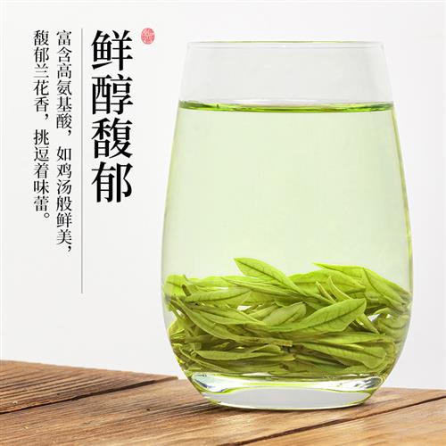 2023年新茶安吉白茶A2好喝的茶叶浓香型春茶高山绿茶礼盒罐装送礼 - 图2