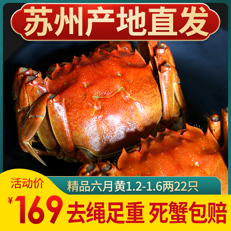 【活蟹】22只六月黄特大闸蟹螃蟹鲜活现货公母蟹红膏河蟹湖蟹礼盒