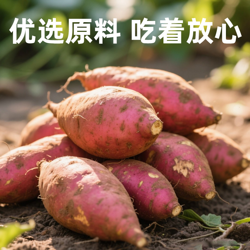 手工红薯淀粉纯红薯粉红苕面正番薯地瓜粉宗生粉小酥肉家用专用粉 - 图1