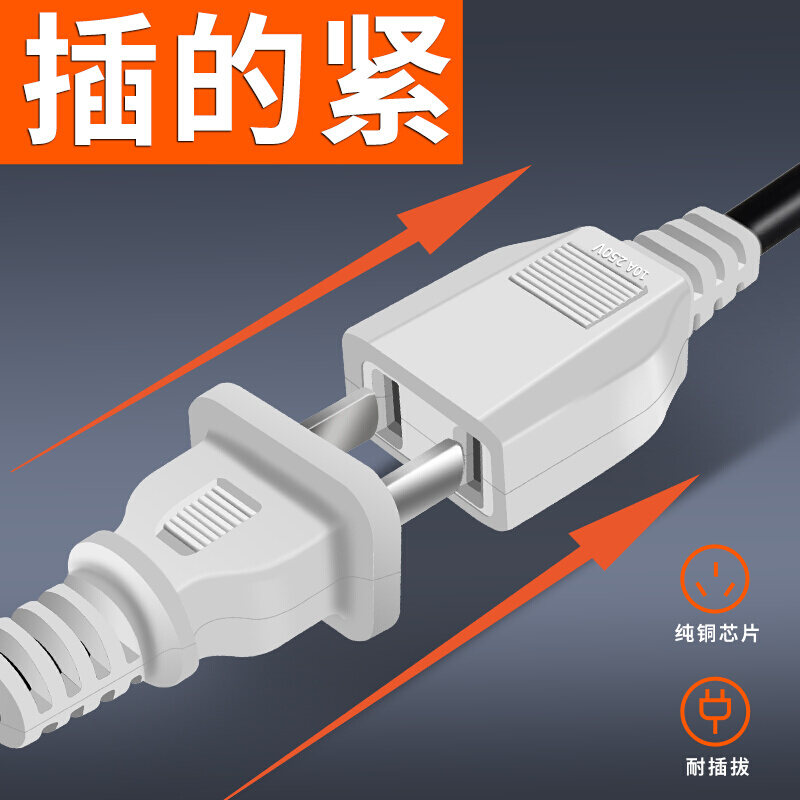 定制母插头 无氧铜  工厂可定制 防水盒 对接两脚插座10A220VAC电 - 图1