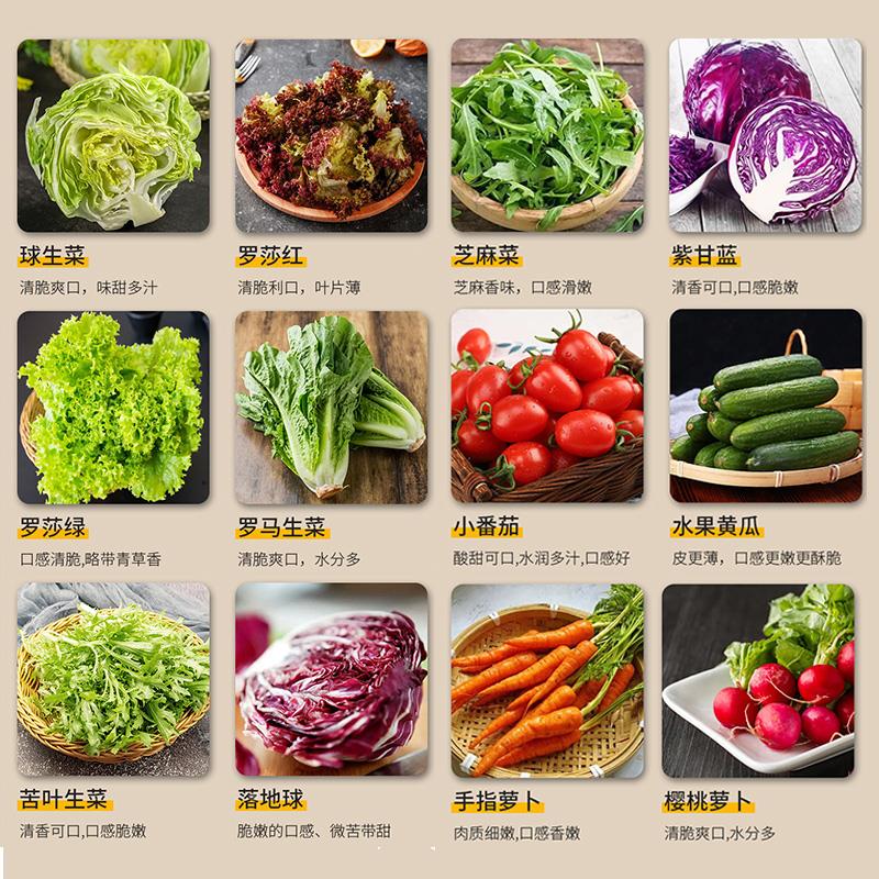 蔬菜沙拉套餐150g*3包 新鲜混合生菜轻食健身餐拍2份送即食玉米粒 - 图2